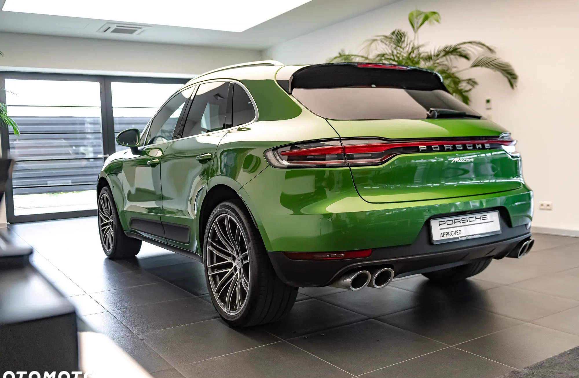 Porsche Macan cena 259000 przebieg: 103698, rok produkcji 2020 z Torzym małe 379